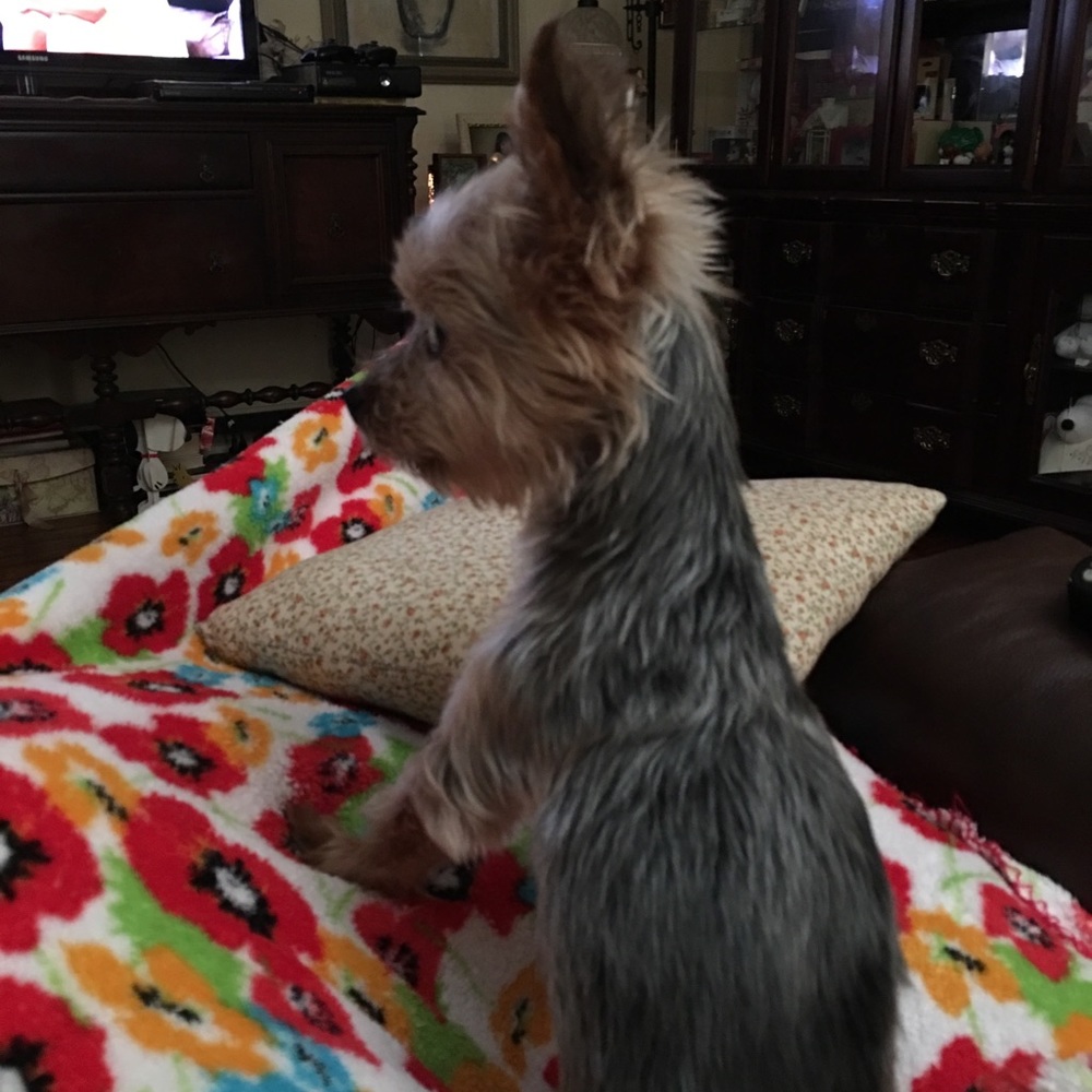 Meet your Posher, Michelle